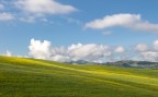 primavera primavera