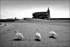 Caorle Caorle