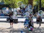 Bubbles! Bubbles!