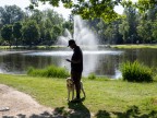 Con l'amico fidato nel parco Con l'amico fidato nel parco