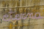 L'eternit� � un fiore