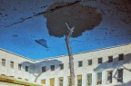 Reflex_EUR_2017 Reflex_EUR_2017