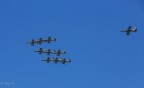 Frecce Tricolore Frecce Tricolore