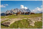 Speriamo che il paradiso sia così. Speriamo che il paradiso sia così.