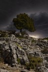 il solitario d'Ogliastra il solitario d'Ogliastra