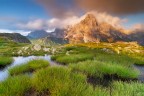 Sognando le pale Sognando le pale
