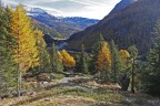 Autunno Autunno