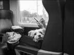 che noia sto viaggio.... che noia sto viaggio....