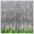 ||*|| ||*||