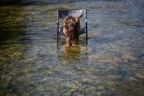 Cara Acqua Cara Acqua