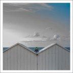 Voglia di navigare 2