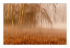 impressioni di settembre impressioni di settembre