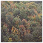 Quadrato autunnale Quadrato autunnale