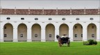 Villa Manin (UD) Villa Manin (UD)