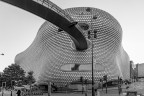 La broboscide La broboscide
