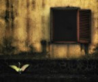 dal sogno...entra o vola via ? dal sogno...entra o vola via ?