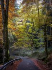 Autunno Autunno