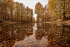 Laghetto_MonteLivata_RM_Nov2023_1 Laghetto_MonteLivata_RM_Nov2023_1