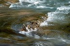 Flussi di fiume Flussi di fiume