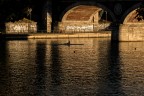 Canottaggio al tramonto Canottaggio al tramonto
