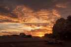 Alba_Nov2023