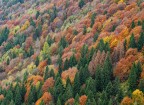 pattern autunnale