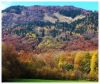 Monte Novegno autunnale