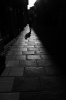 Le vie della luce Le vie della luce
