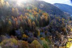 Mattino nel bosco d'autunno Mattino nel bosco d'autunno