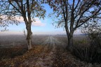 a caccia d'autunno... a caccia d'autunno...