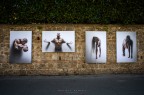 una bella mostra fotografica una bella mostra fotografica