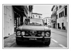 Alfa Alfa
