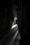 Per le vie di Bologna Per le vie di Bologna