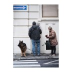 �In principio Dio cre� l'uomo, ma vedendolo cos� debole gli don� il cane.�
    Alphonse Toussenel