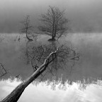 Fredda mattina sul fiume