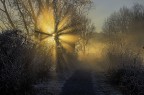 Frost Frost