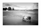 Monfalcone - Marina Julia Monfalcone - Marina Julia