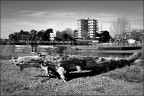 Grado Grado