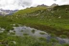 Panorama Panorama