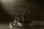 Il tempo si e' fermato Il tempo si e' fermato