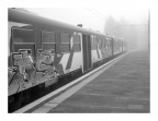 Nebbia Nebbia