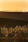 al tramonto al tramonto