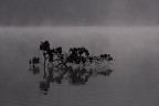 Sul fiume Sul fiume