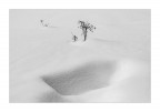 nel bianco nel bianco