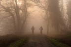due nella nebbia due nella nebbia