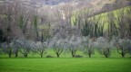 Primavera accecante Primavera accecante