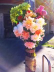 Fiori Fiori