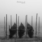 Come � triste Venezia (La serie)