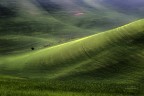 Linee e curve Linee e curve