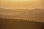 a passeggio in Val 'Orcia al tramonto a passeggio in Val 'Orcia al tramonto